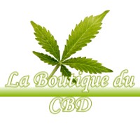 LA BOUTIQUE DU CBD SAUGNAC-ET-CAMBRAN 